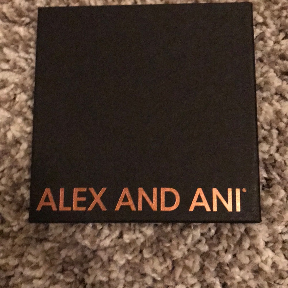 Alex and Ani Friendship bracelet